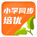 打球就要“夯爆”?虎扑老哥的篮球哲学炸了