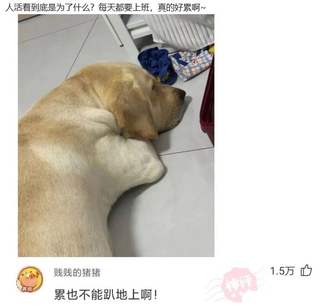 能否逆转?维尼修斯此前在巴西队进球的8场比赛全胜