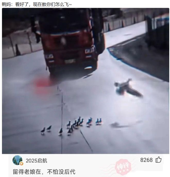 一脚挑射惊艳世界杯,从被放弃到拜仁猎物,塞巴里即将登上大舞台