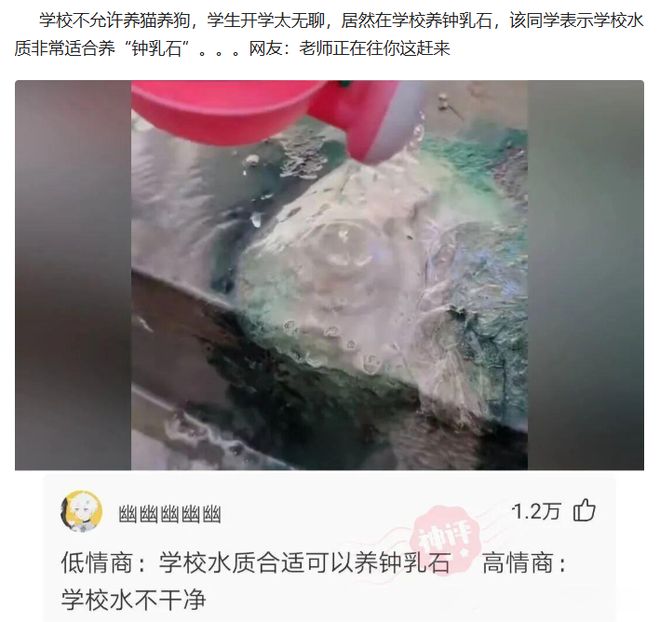 一脚挑射惊艳世界杯,从被放弃到拜仁猎物,塞巴里即将登上大舞台